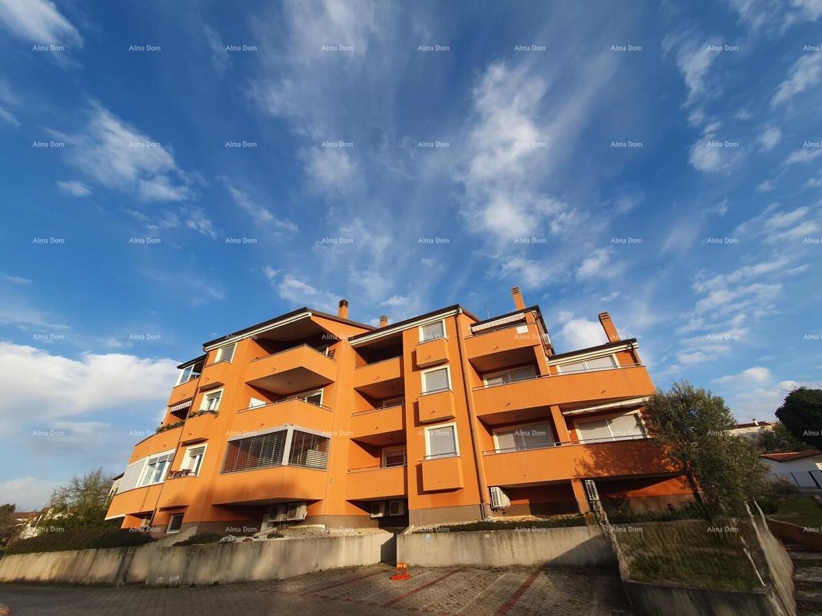 Prostran stan u prizemlju, Brtonigla, Istra.