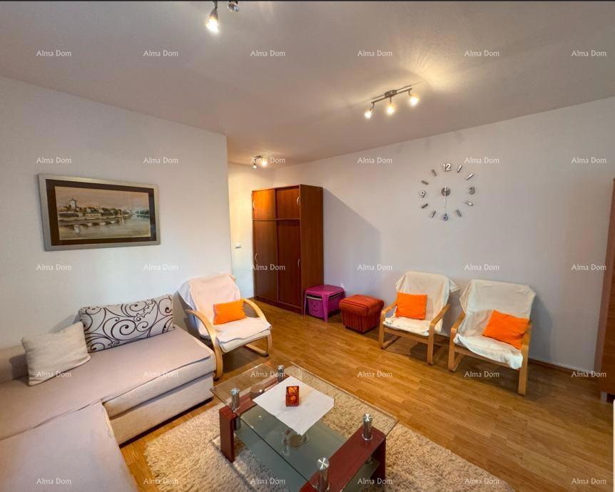 Na prodaju: Apartman u Novigradu s velikim vrtom.