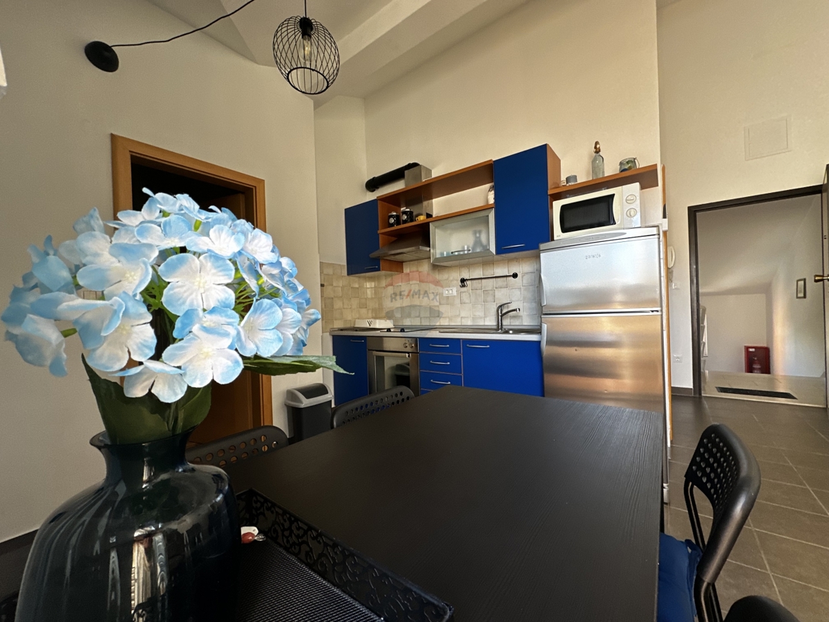 JEDNOSOBNI APARTMAN BLIZU MORA, SRIMA