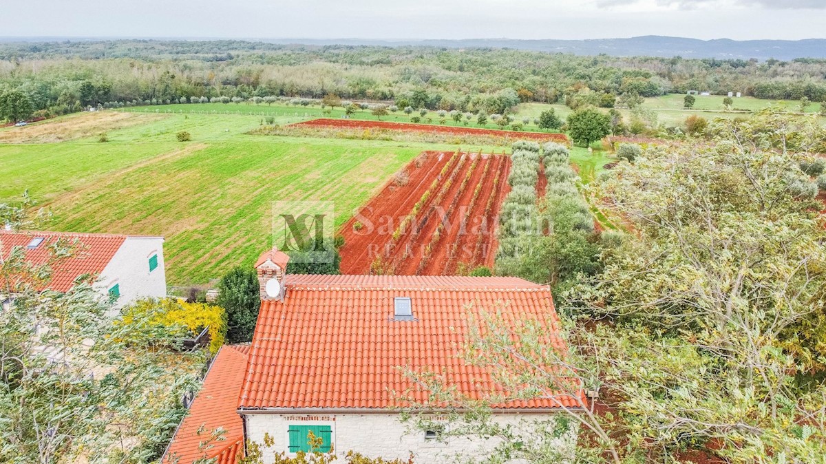 Poreč, okolica- samostojeća kamena kuća na rubu naselja